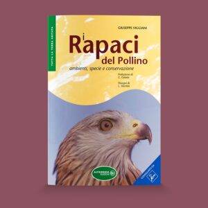 I Rapaci del Pollino