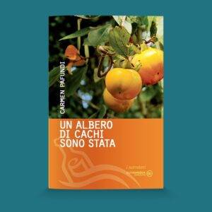 Un albero di cachi sono stata